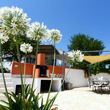 Villetta Panoramica Ostuni Ngoại thất bức ảnh